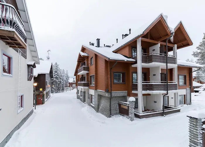 Karhunvartija 1 Visit * Levi